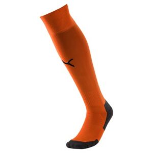 Chaussettes Teamliga Core Puma