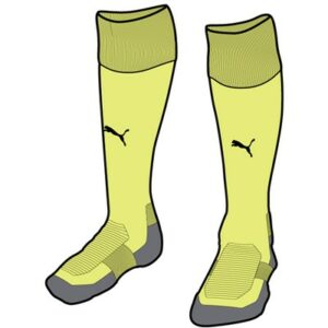 Chaussettes Teamliga Core Puma