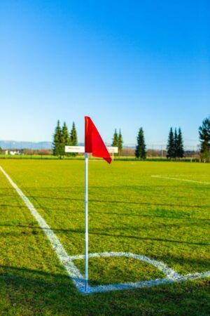 Lot de 4 poteaux de corner pliables