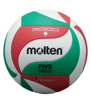 Ballon de volleyball Molten V5M5000